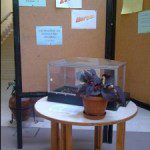 clip_image002-224x3001